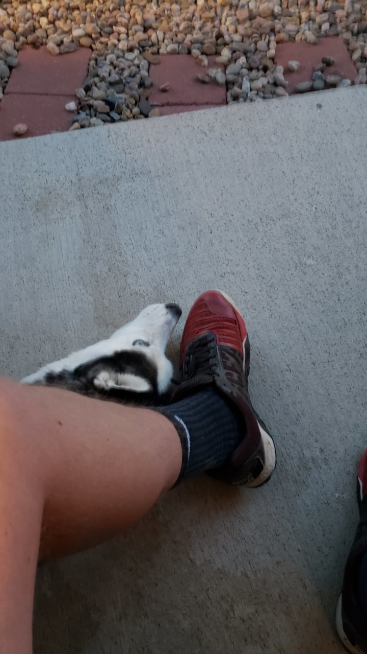20190702_205014.jpg