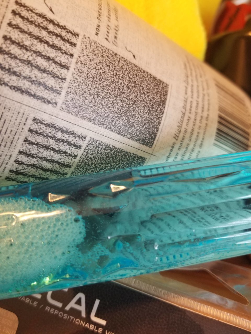 20190703_115255.jpg