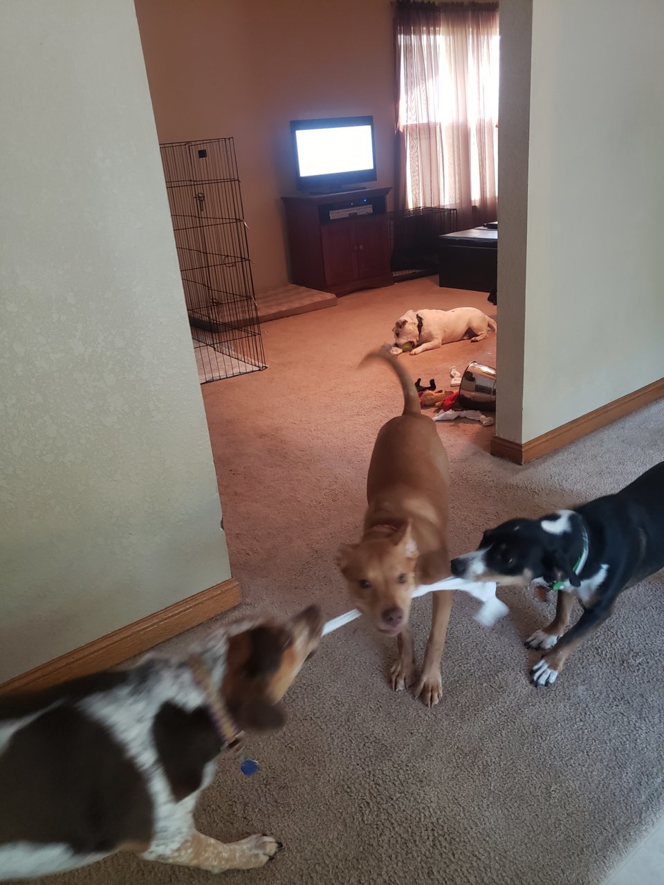 20190704_072648.jpg