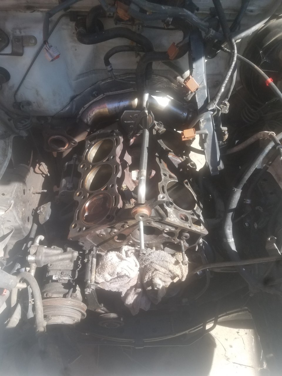 20190704_094153.jpg