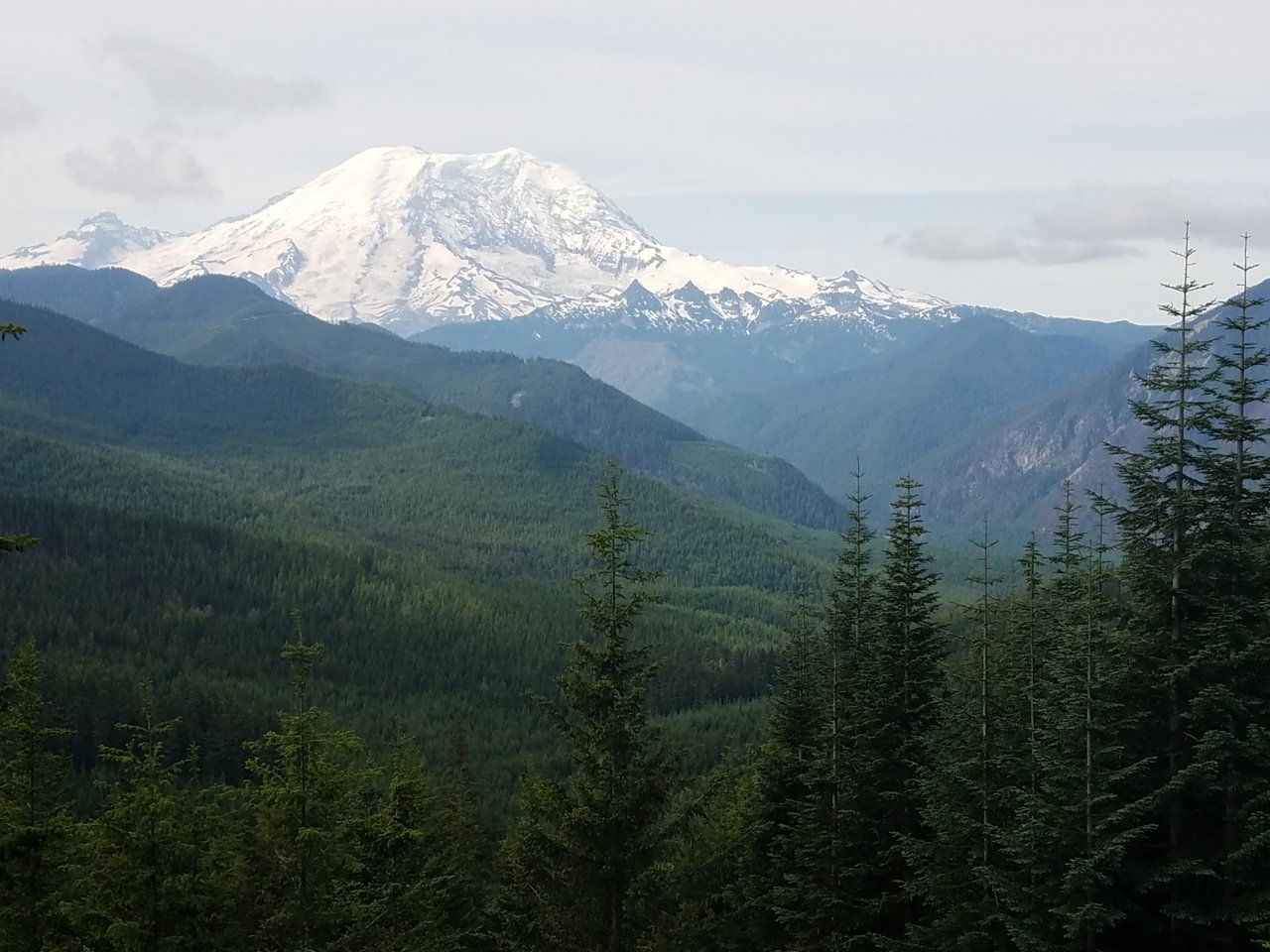 20190704_095344.jpg