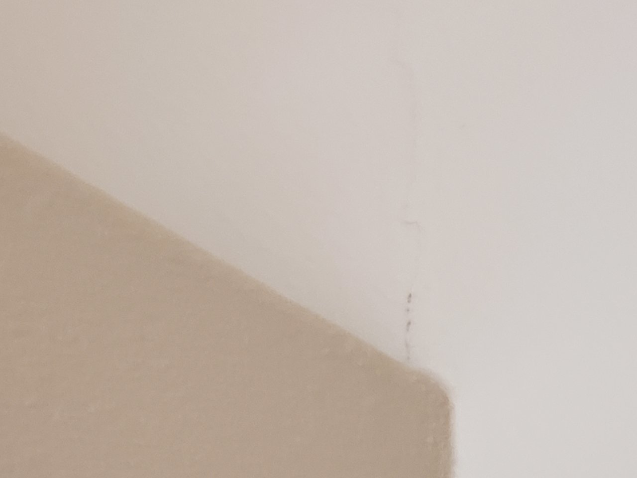 20190704_113941.jpg