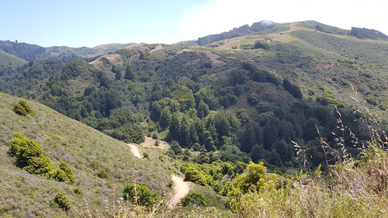 20190704_141354.jpg