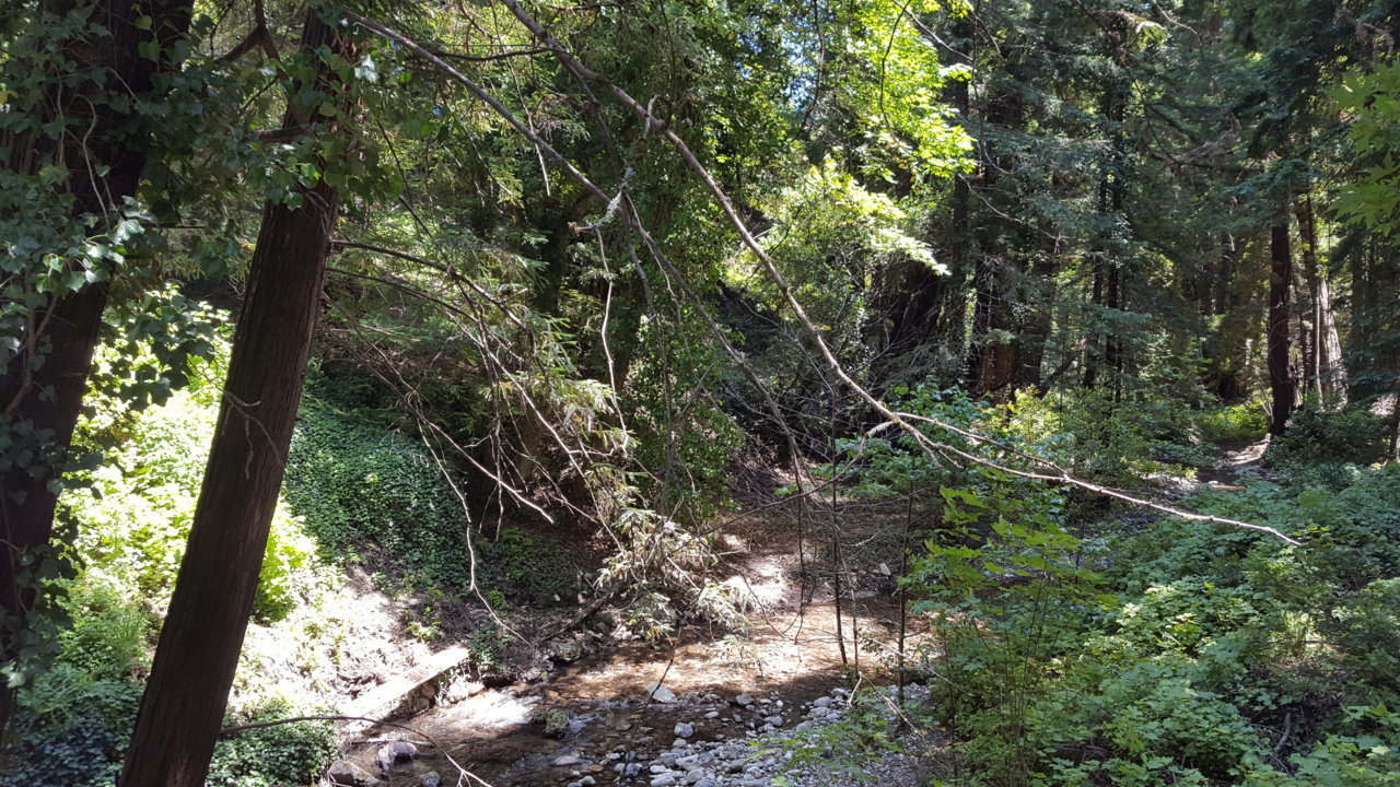 20190704_142259.jpg