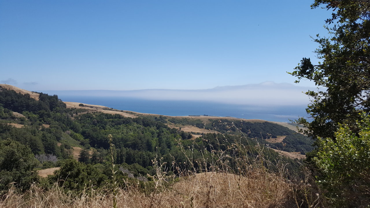 20190704_144255.jpg