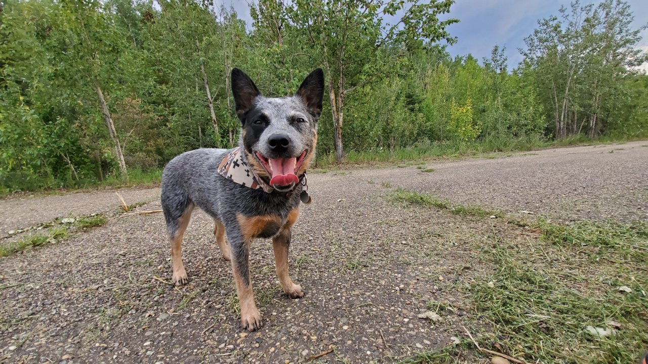 20190704_203436.jpg