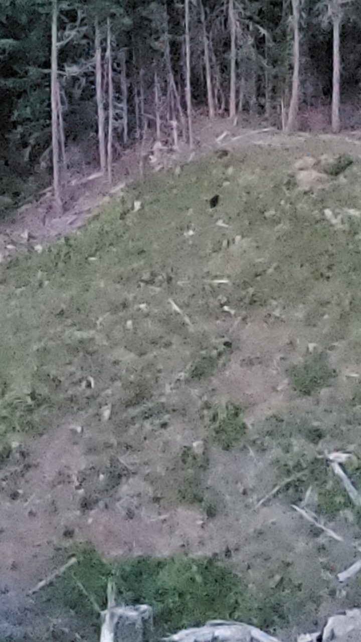 20190704_211544.jpg