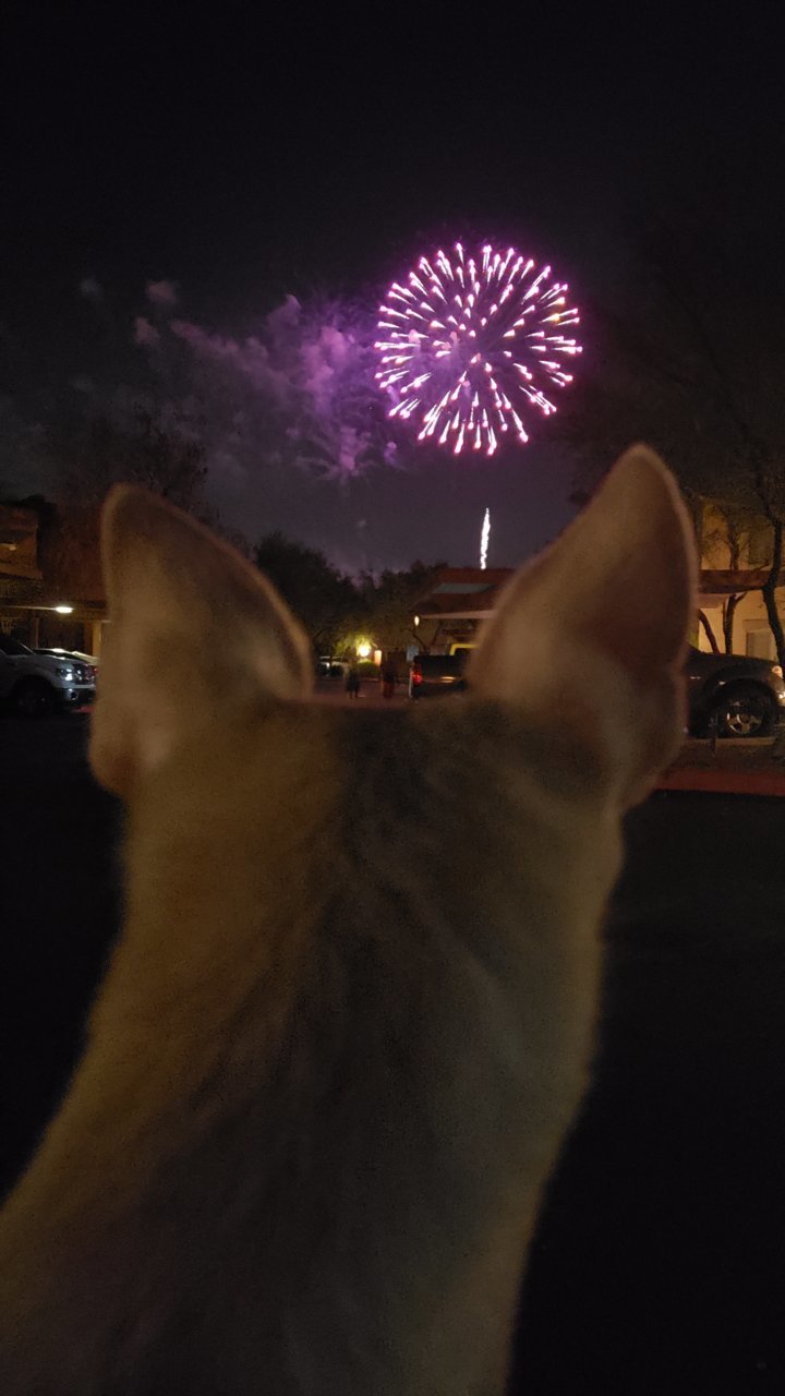 20190704_212410.jpg