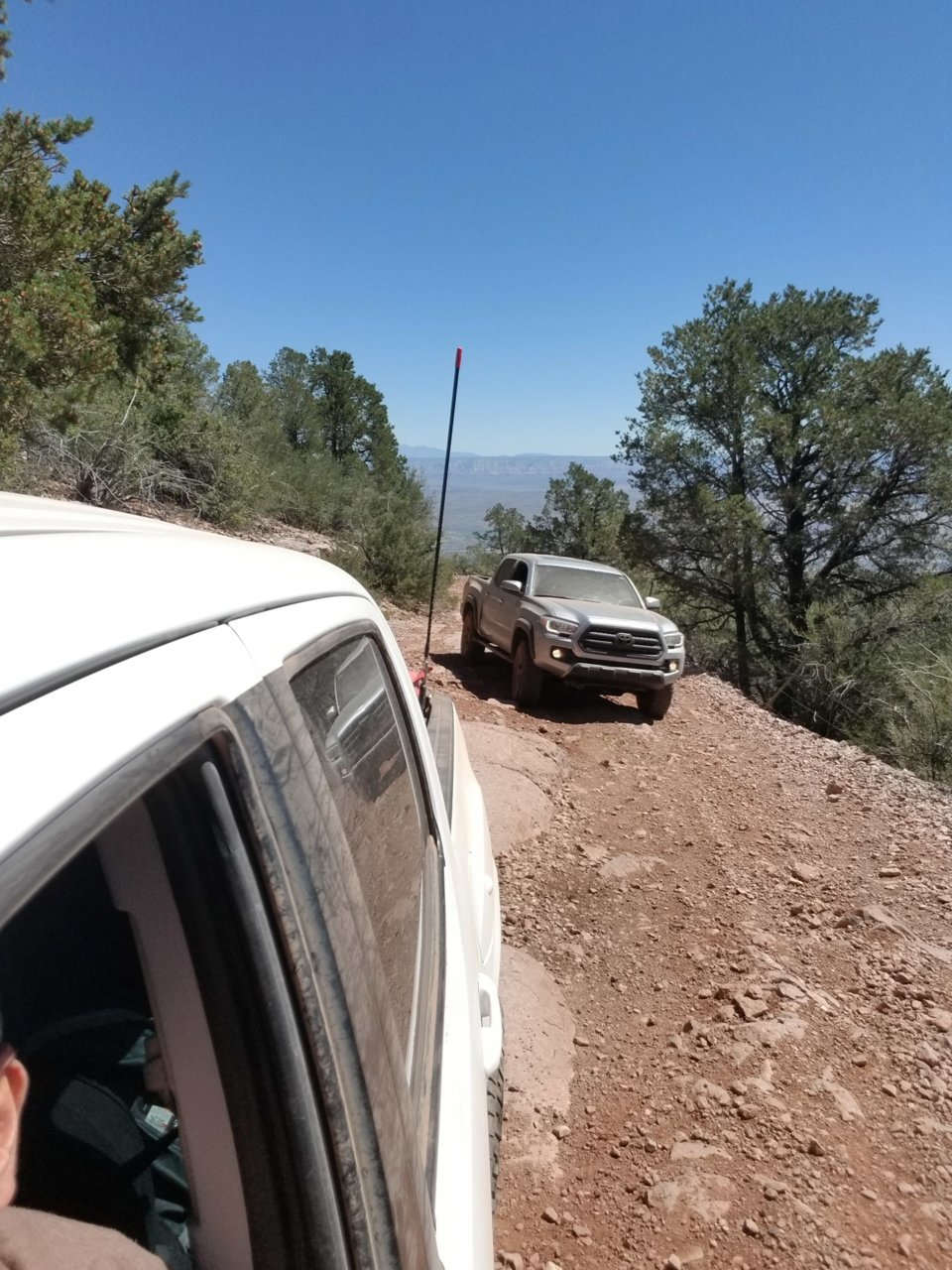 20190705_102026.jpg