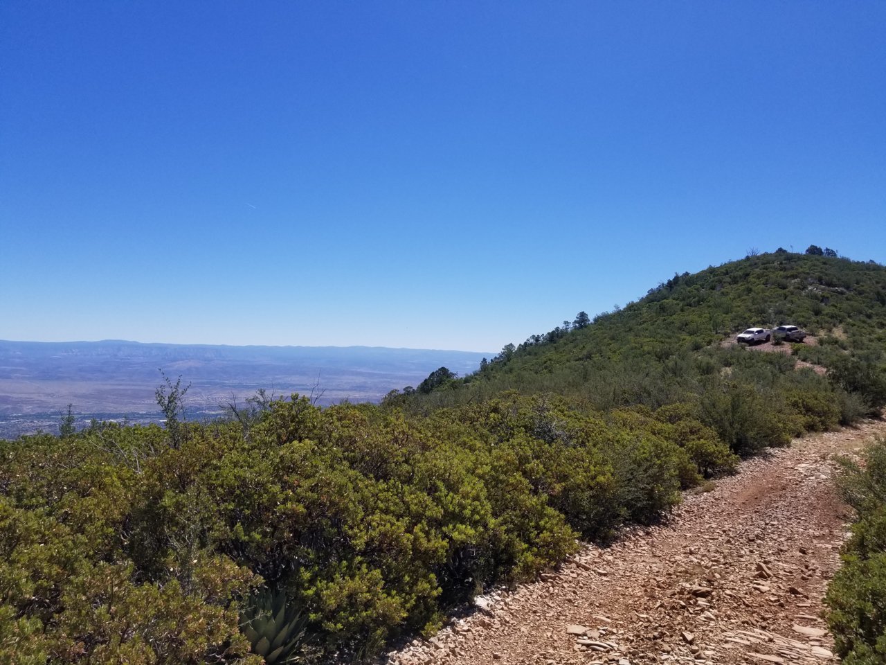 20190705_103032.jpg