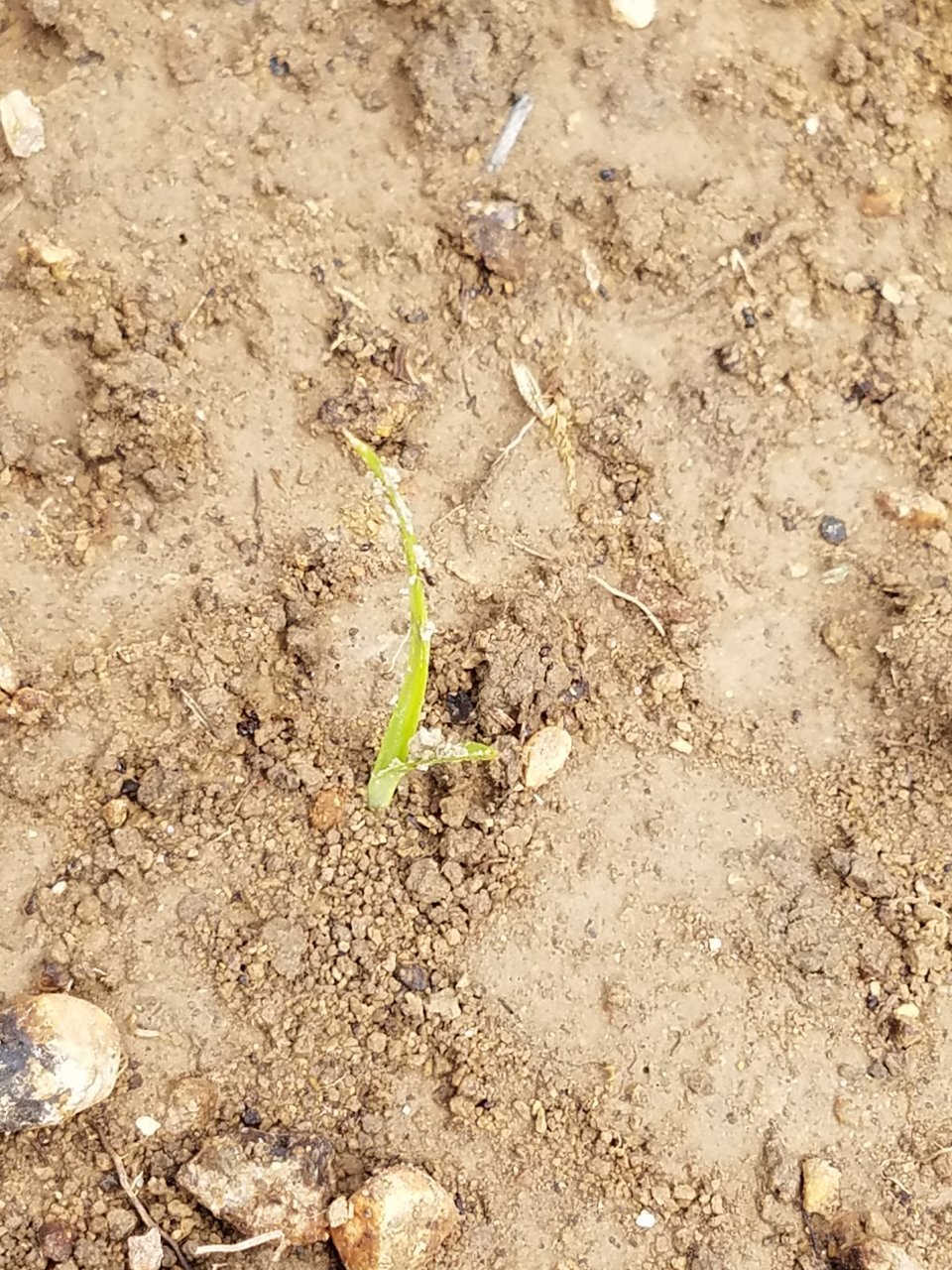 20190705_104412.jpg