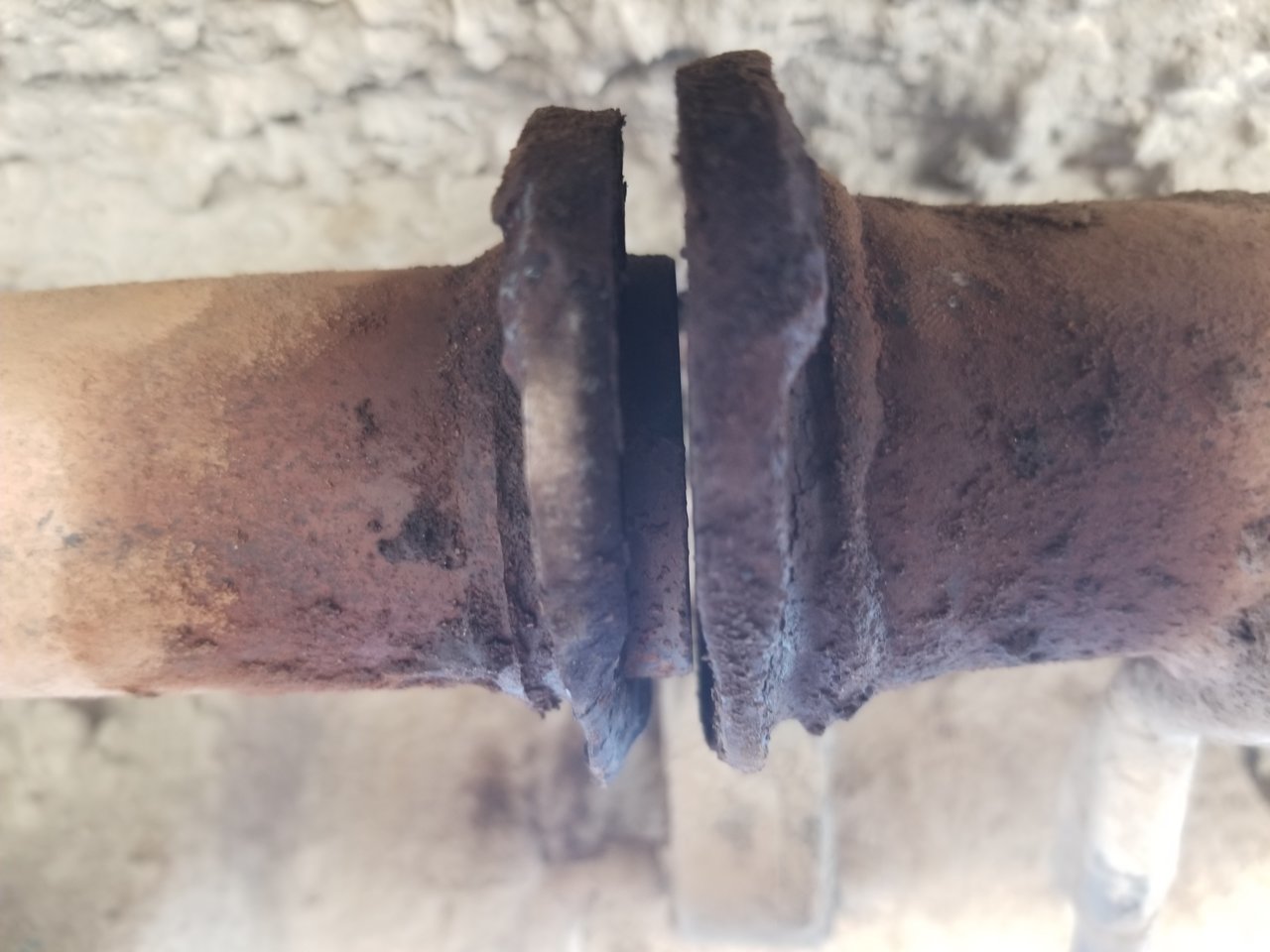 20190705_104620.jpg