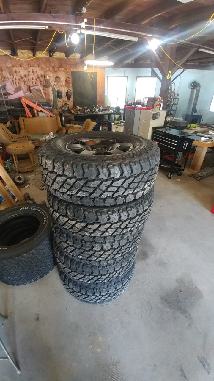 20190705_115441.jpg