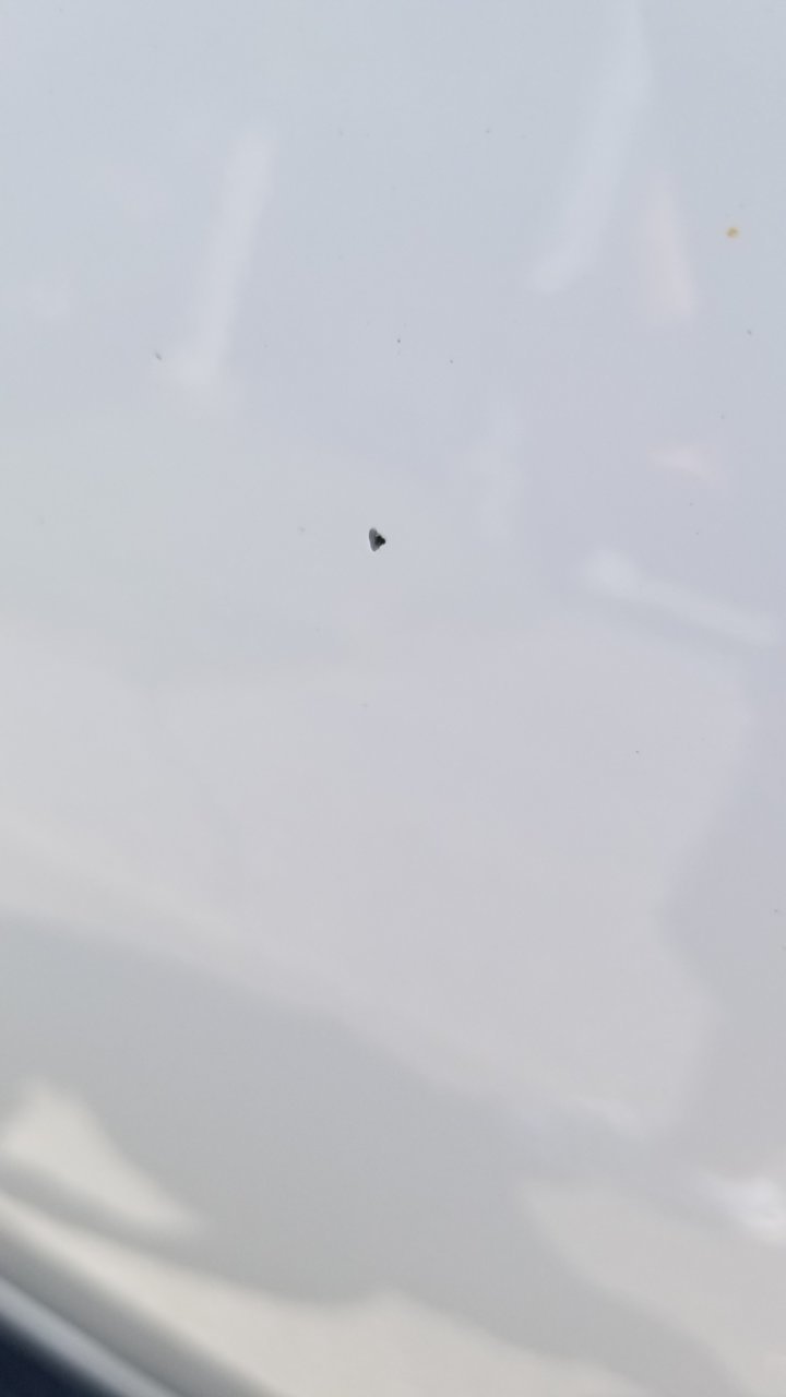 20190705_142917.jpg