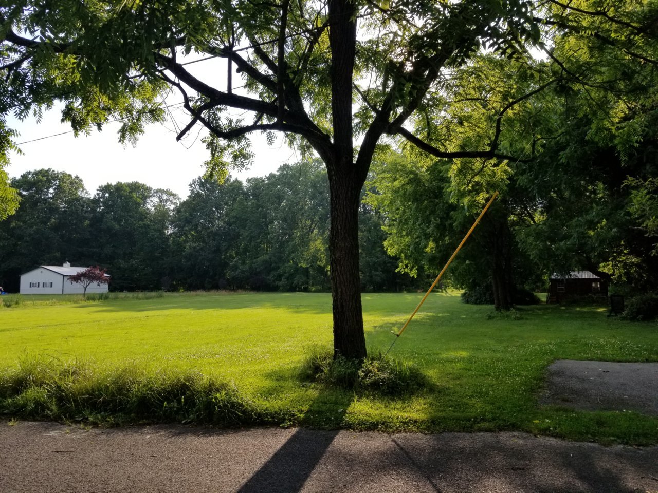 20190705_182430.jpg