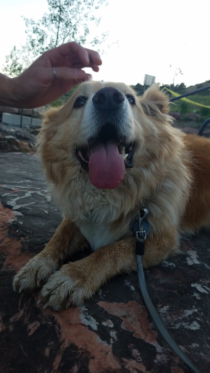 20190705_201214.jpg