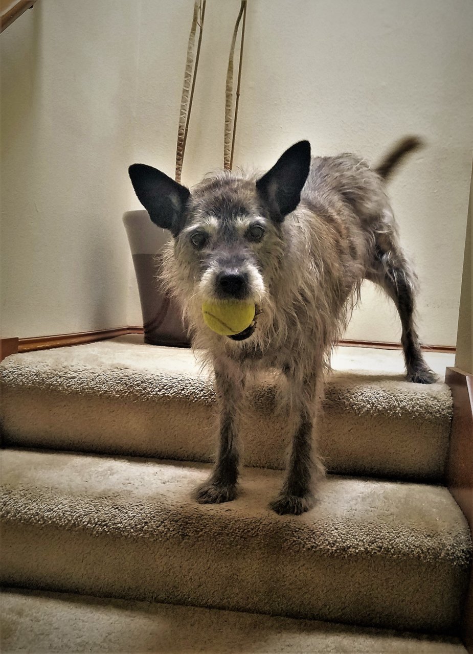 20190706_080234.jpg