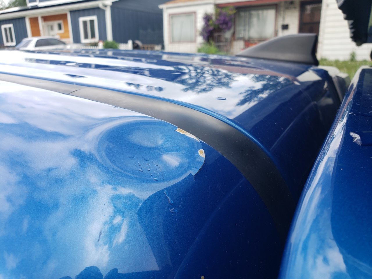 20190706_091331_resized.jpg
