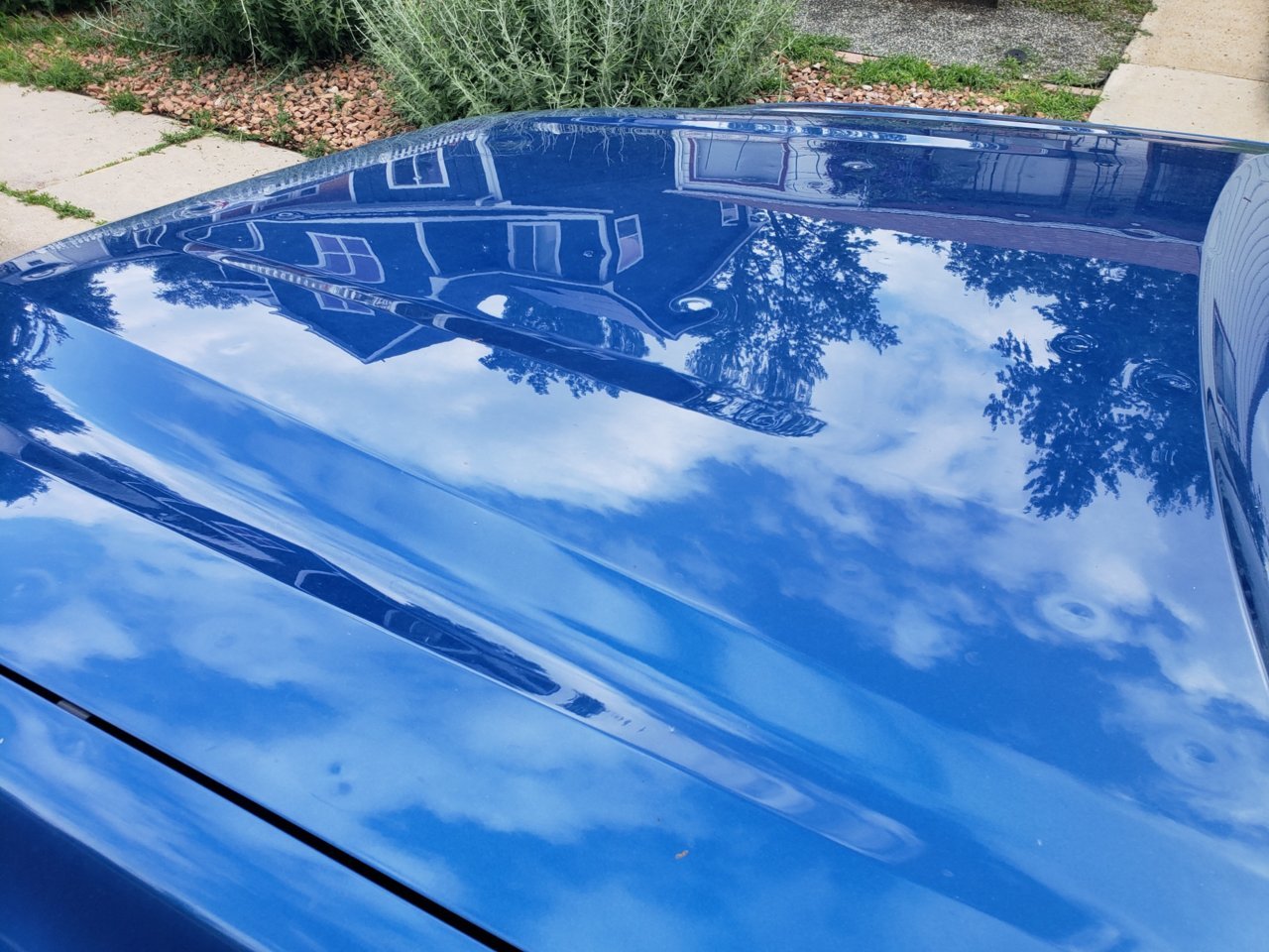 20190706_091351_resized.jpg