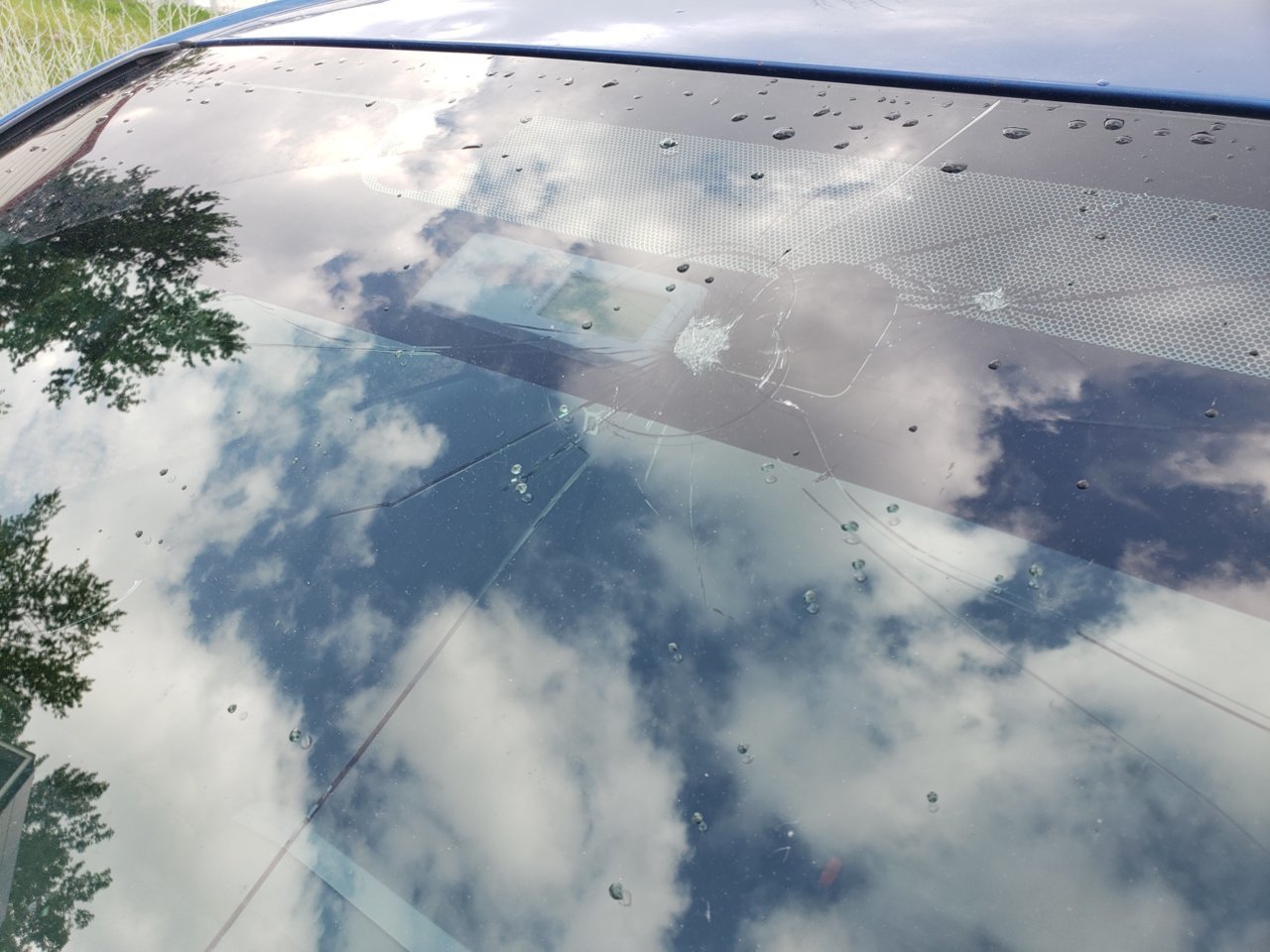 20190706_091406_resized.jpg