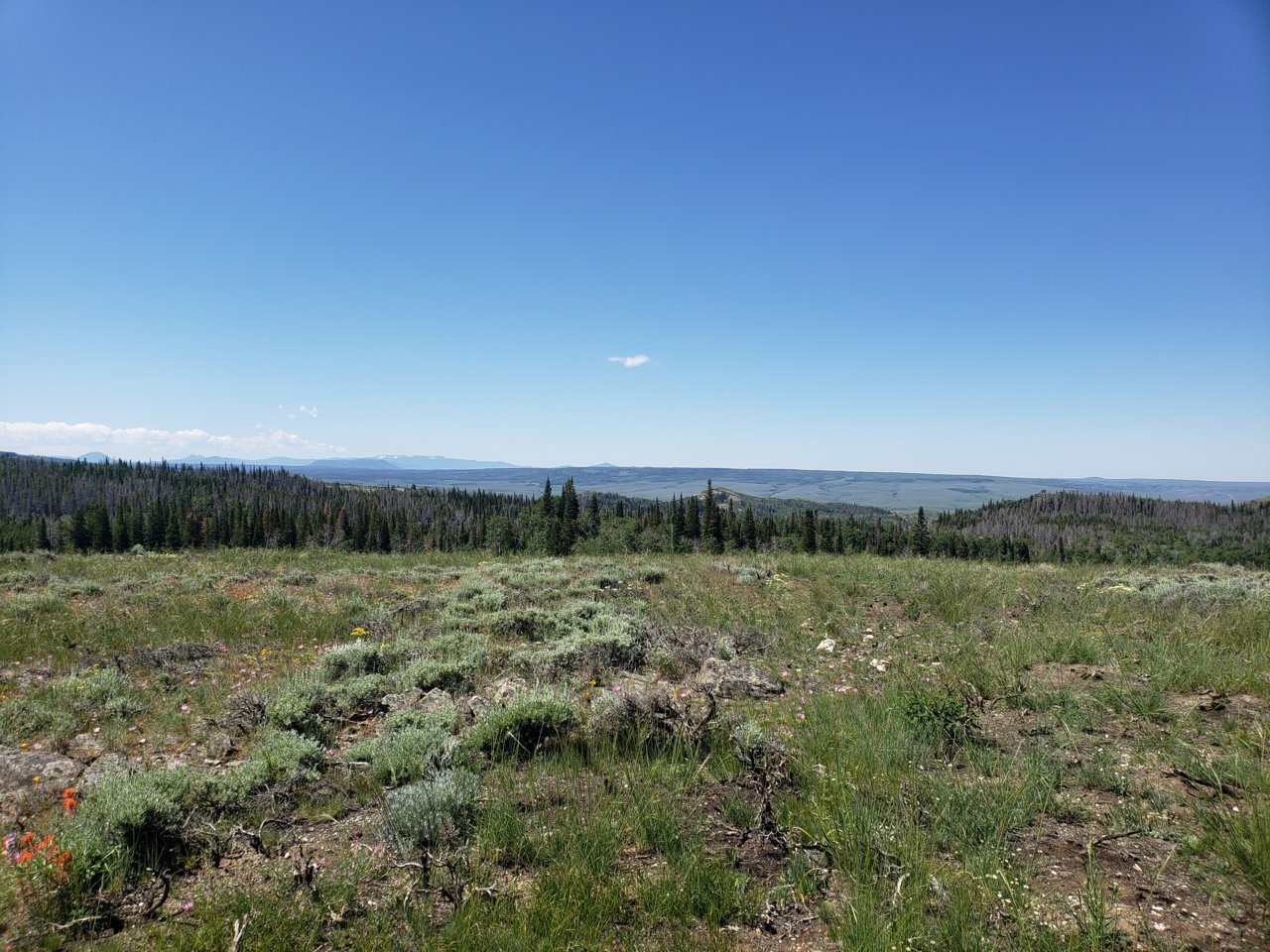 20190706_105525.jpg
