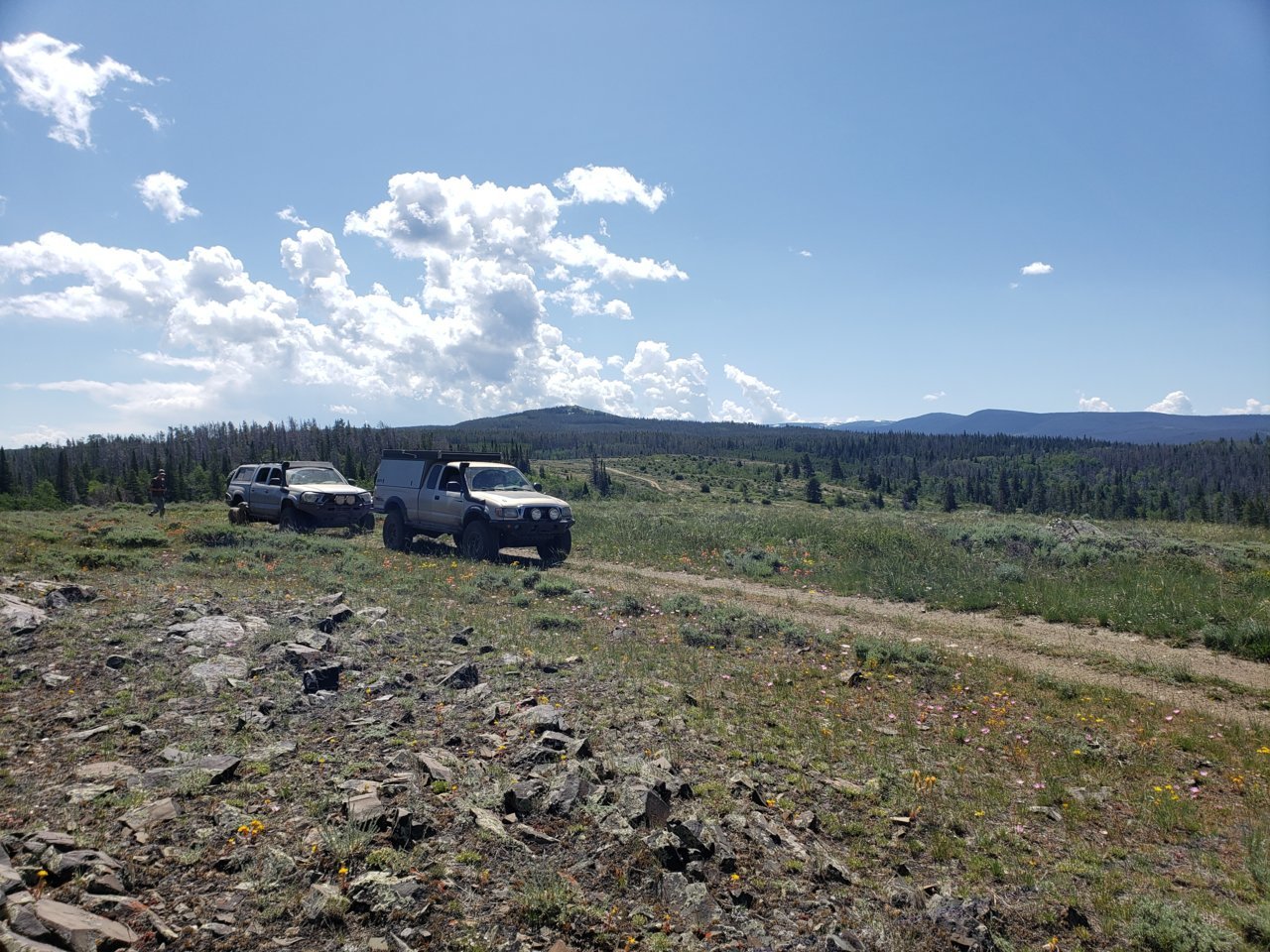 20190706_110258.jpg