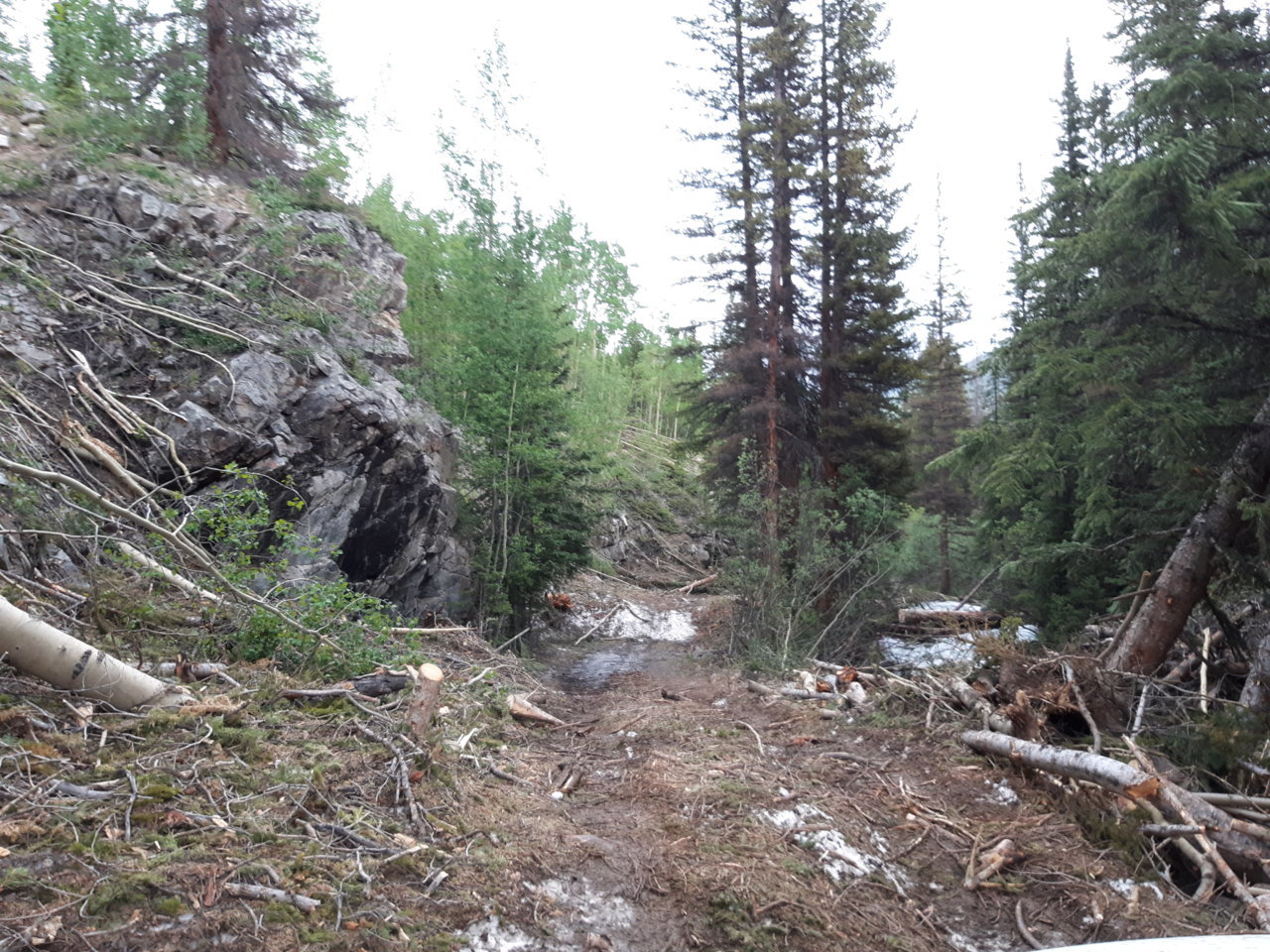 20190706_124941.jpg