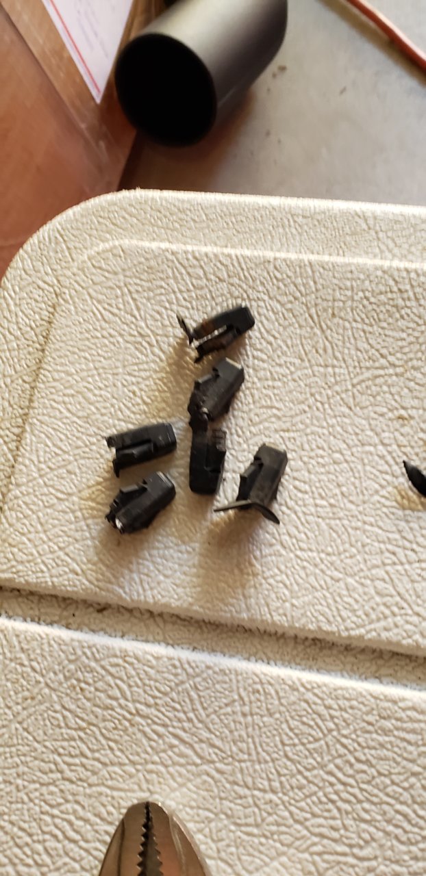 20190706_145202.jpg