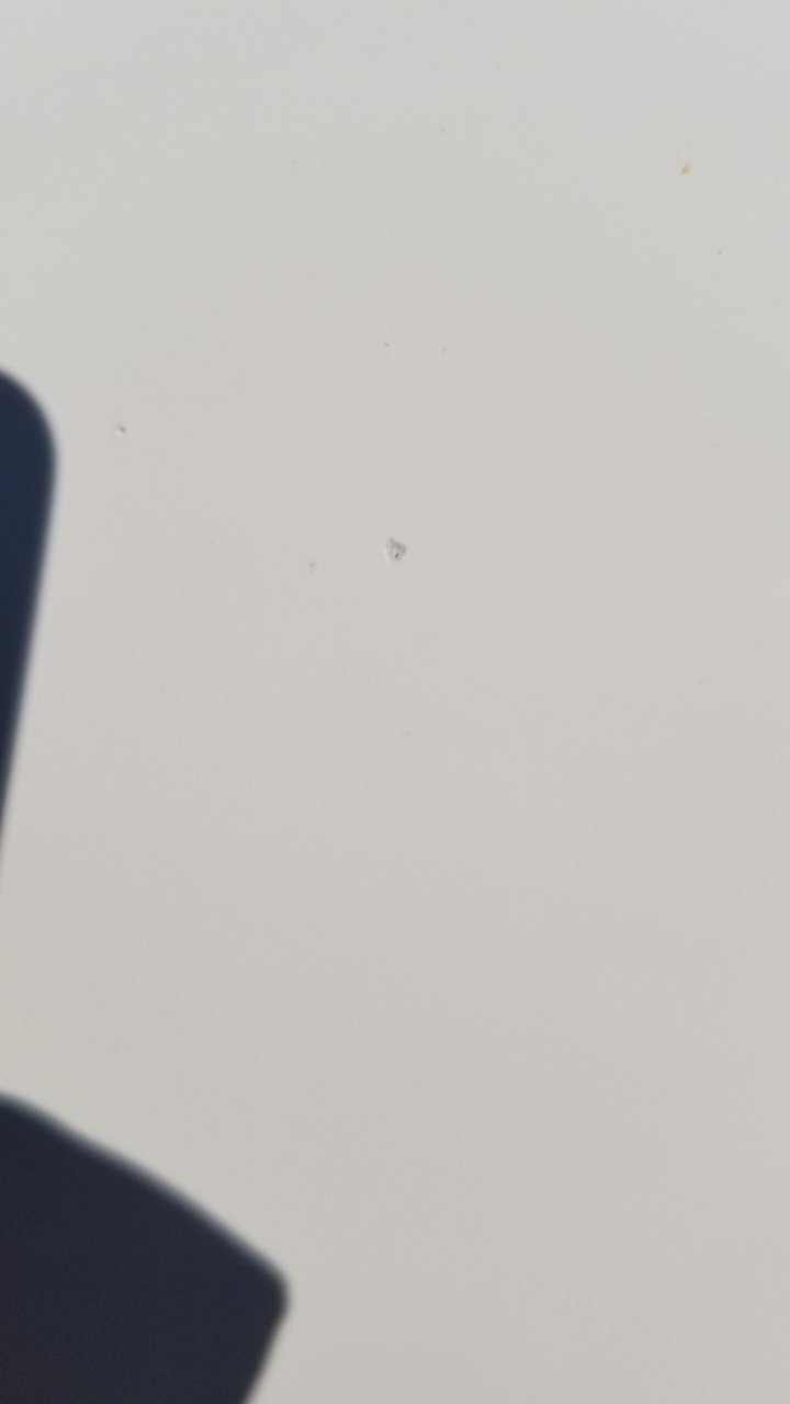 20190706_180954.jpg