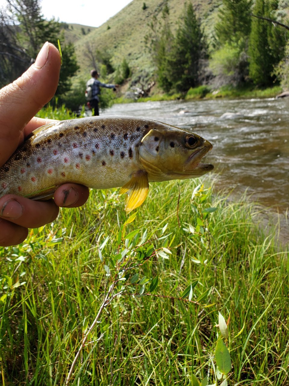 20190707_103555.jpg
