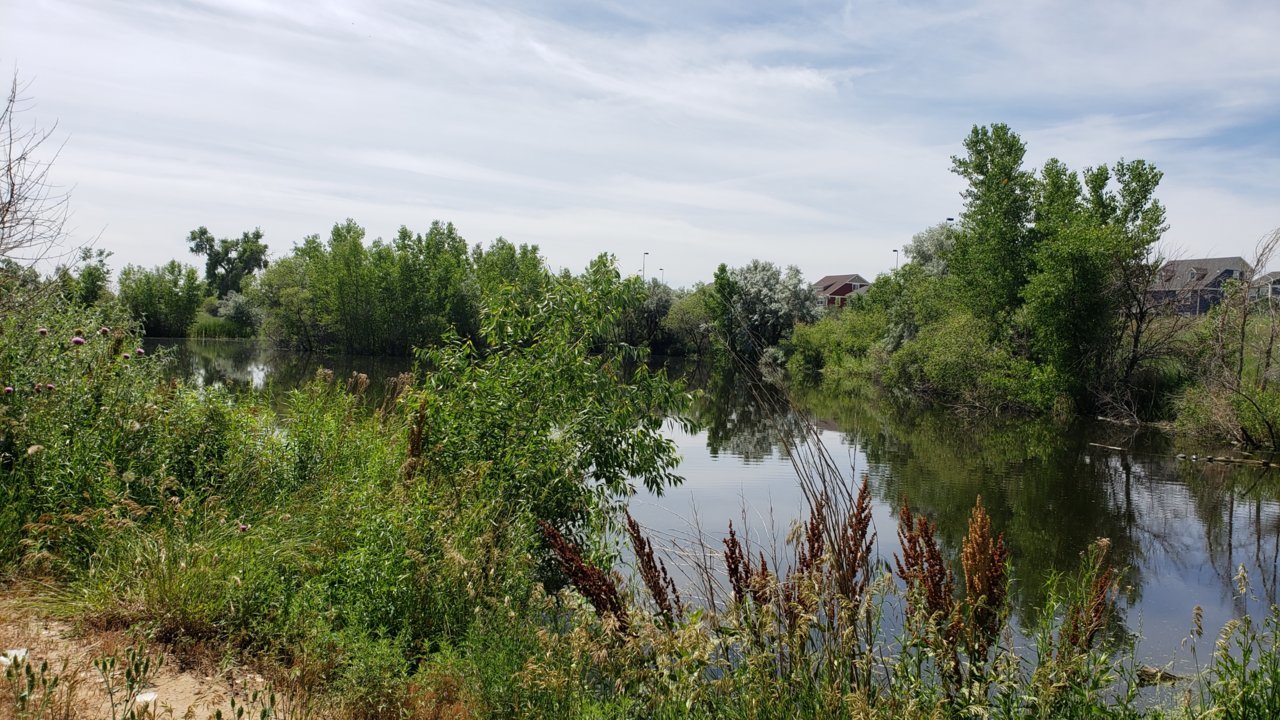 20190707_111939.jpg