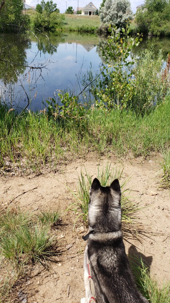 20190707_112214.jpg