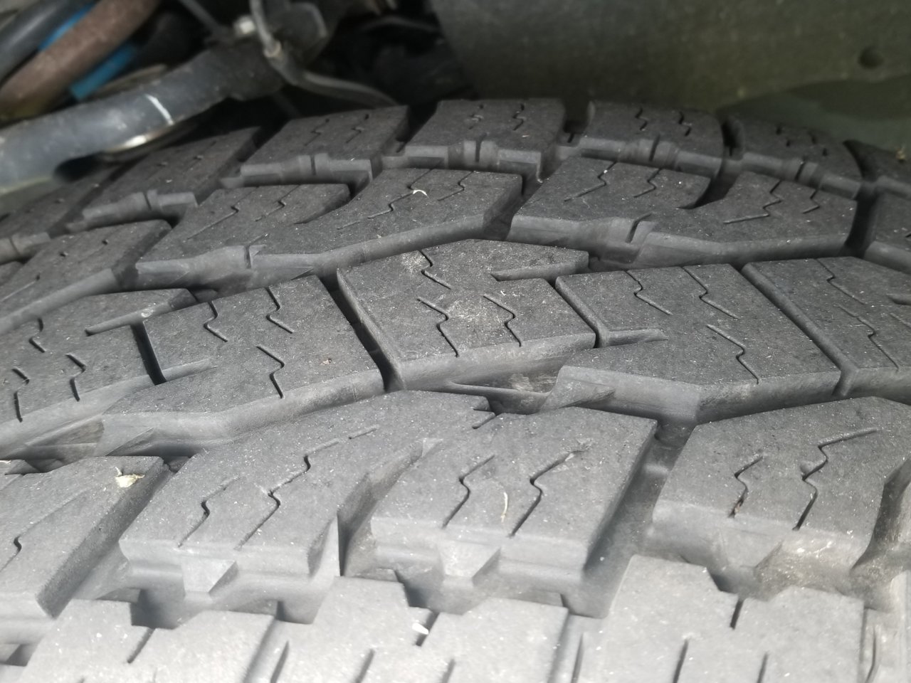 20190707_123926.jpg