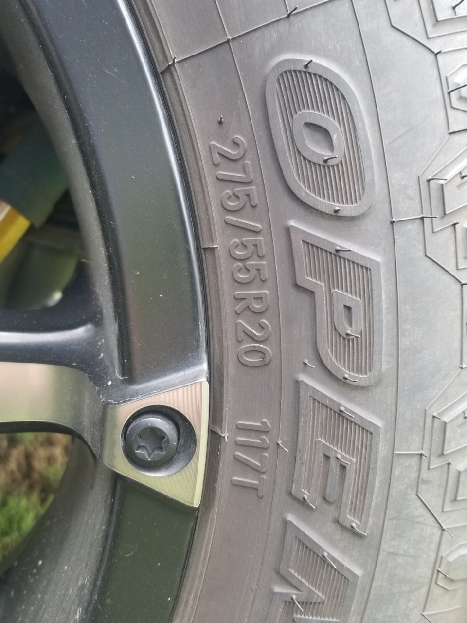 20190707_124015.jpg