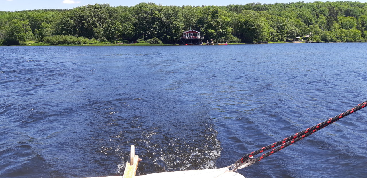 20190707_131930.jpg