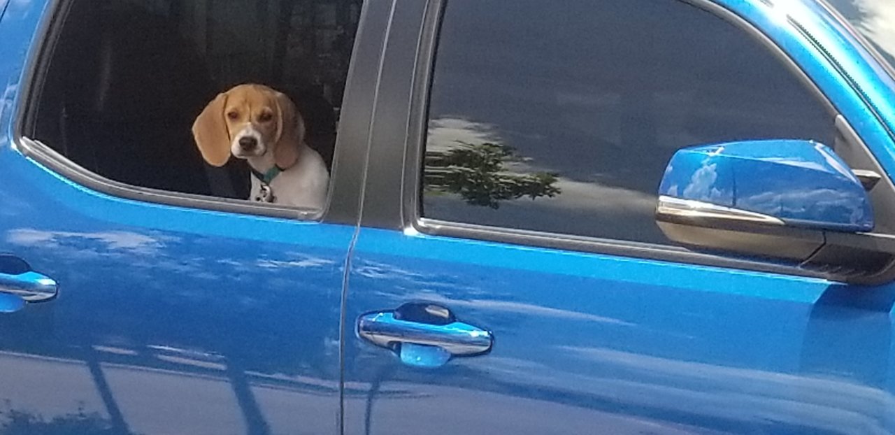 20190707_141229.jpg