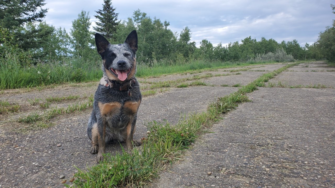 20190707_194739.jpg