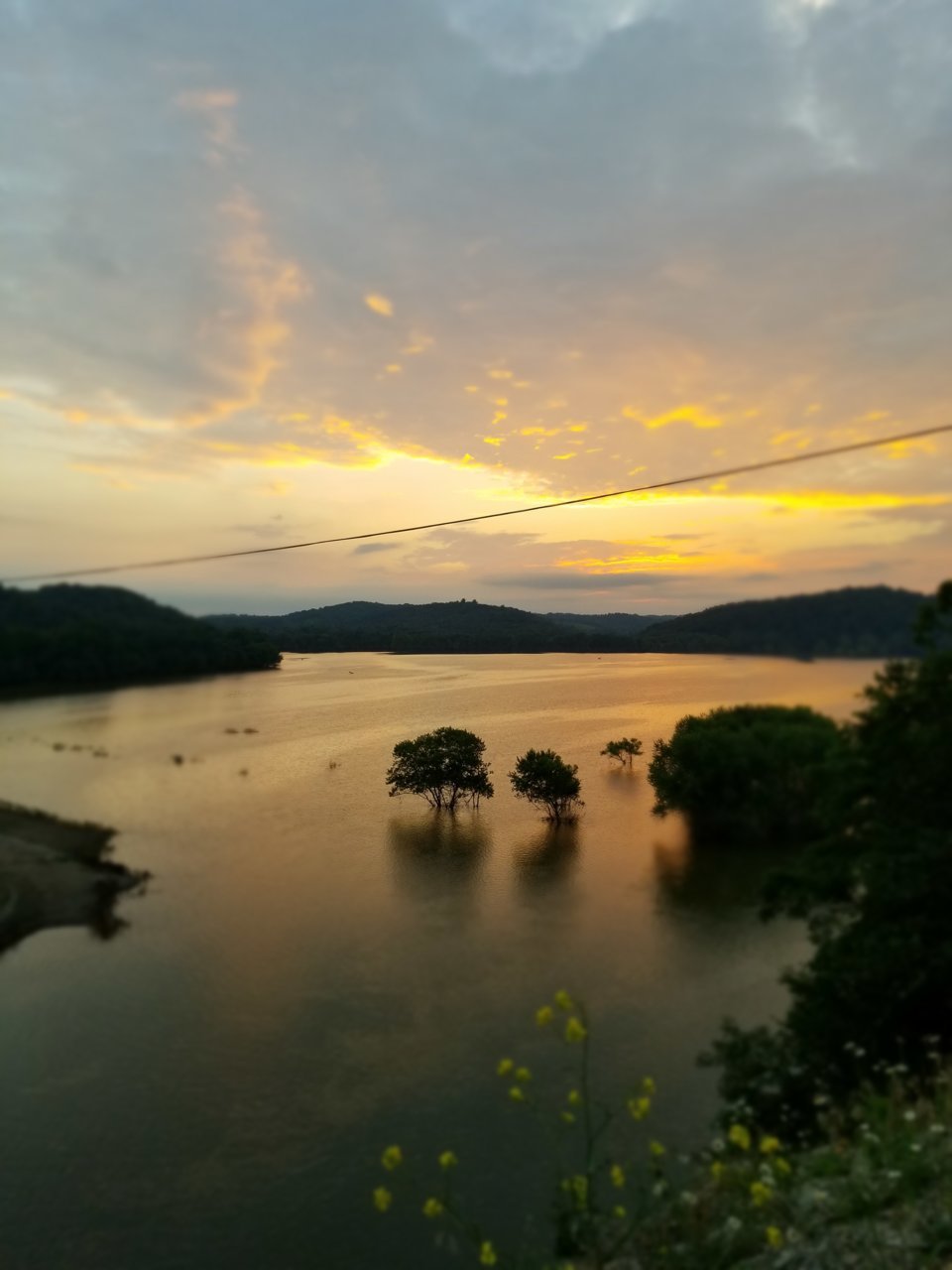 20190707_205531.jpg