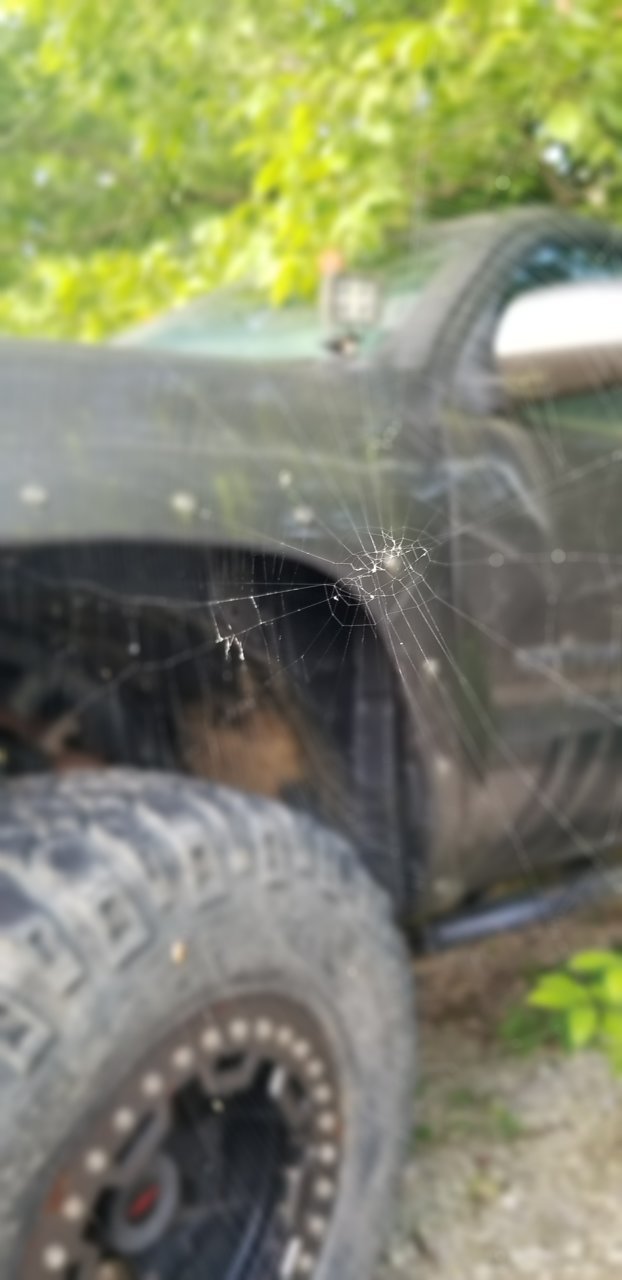 20190708_071911.jpg