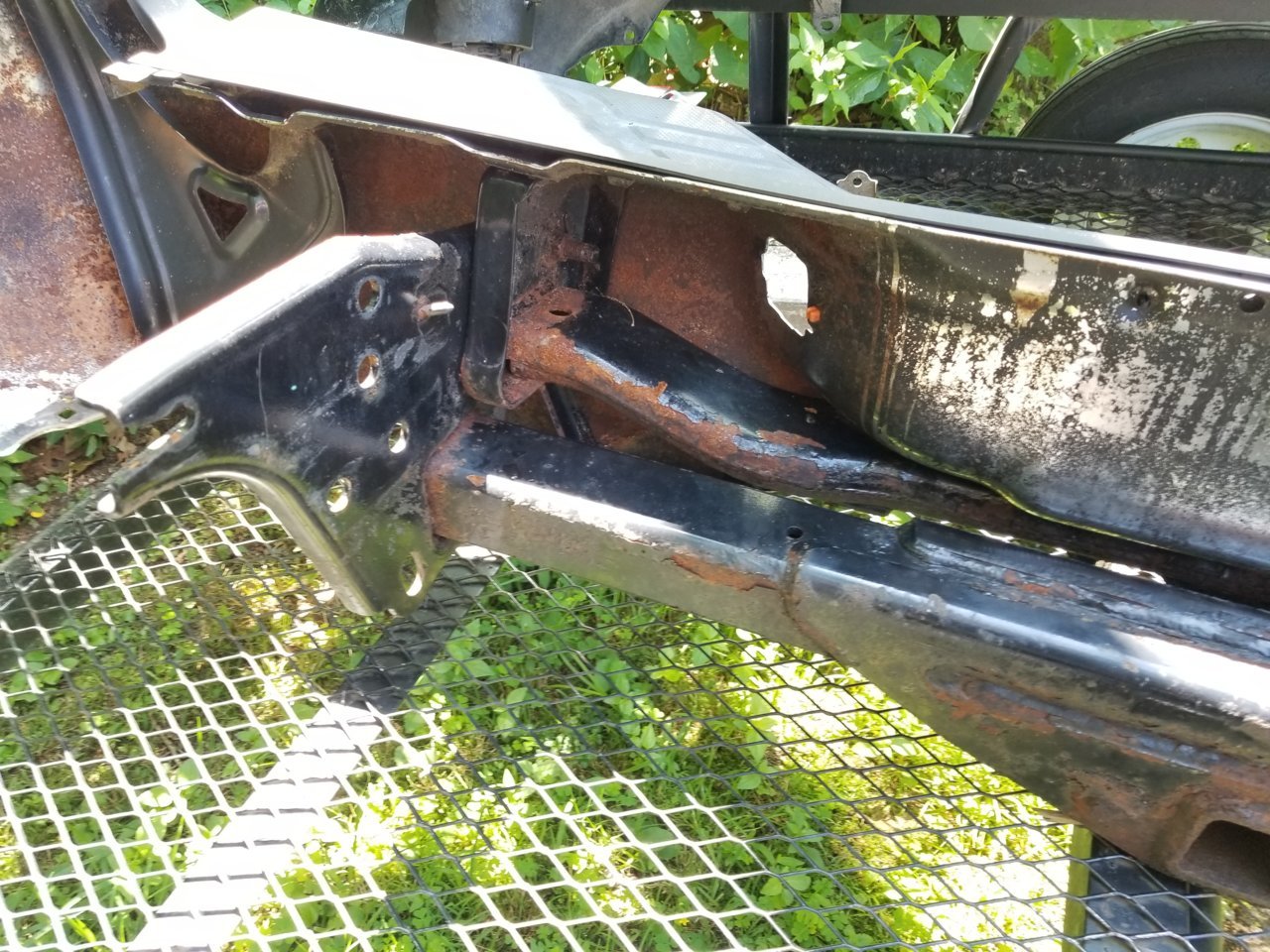 20190708_123237.jpg