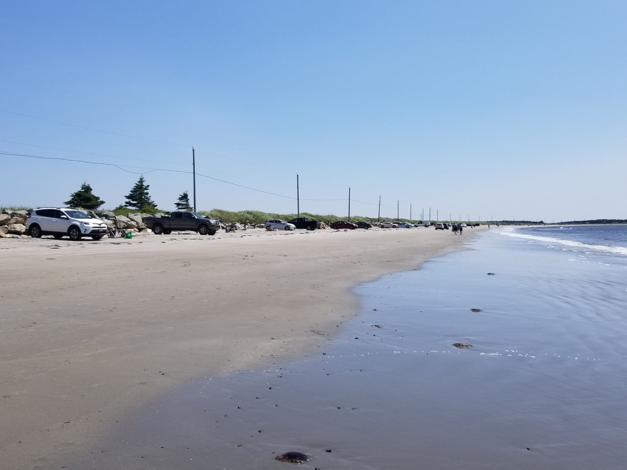 20190709_115230.jpg