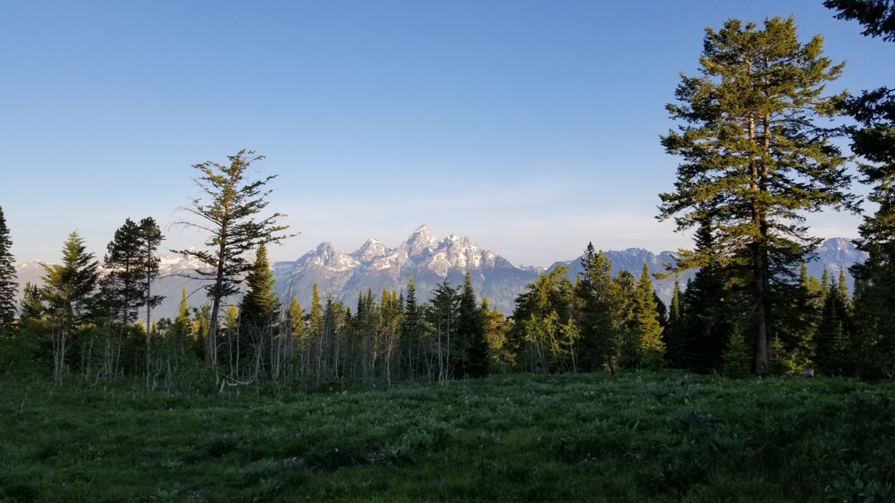 20190710_063310.jpg
