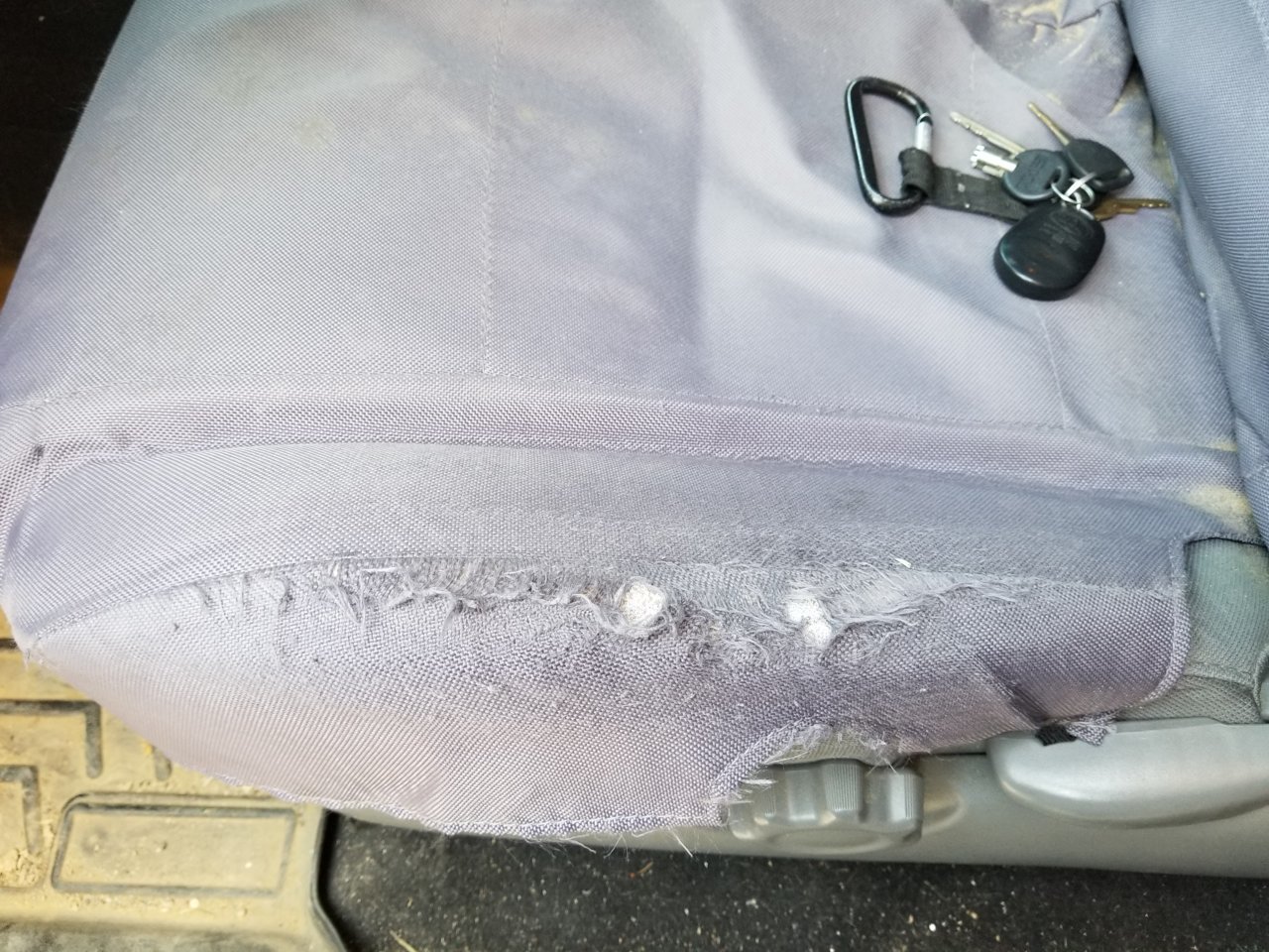 20190710_152517.jpg
