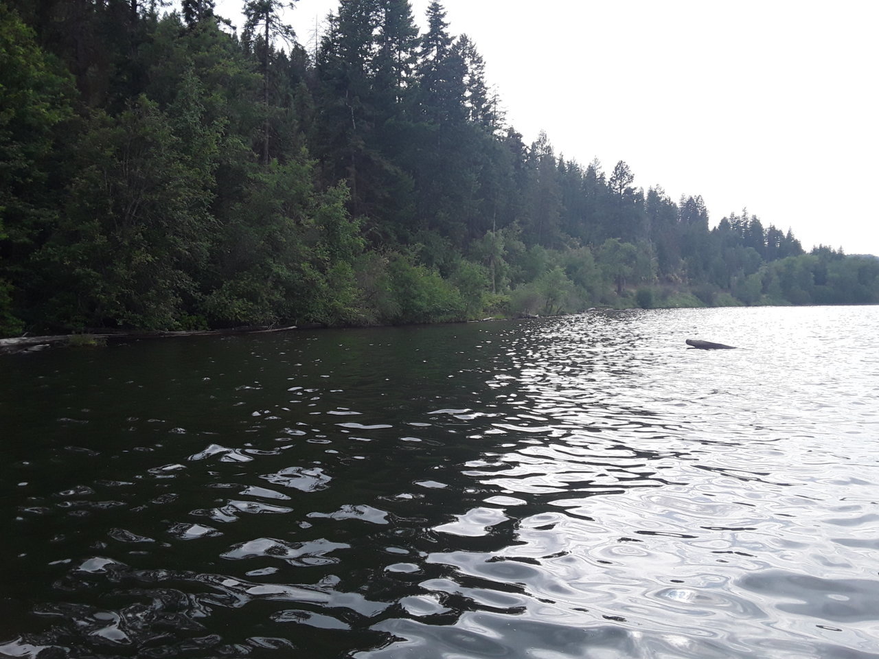 20190710_183804.jpg