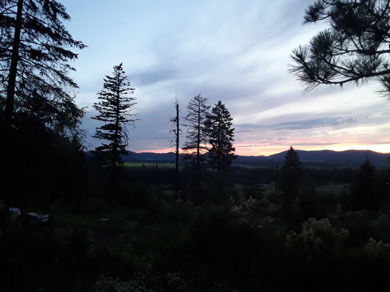 20190710_230041.jpg