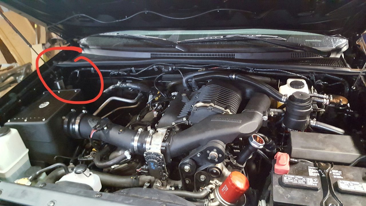 20190711_010238.jpg