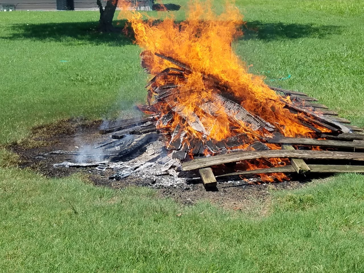 20190711_120158.jpg