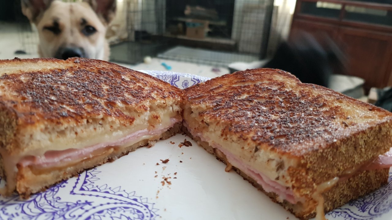 20190711_130644.jpg