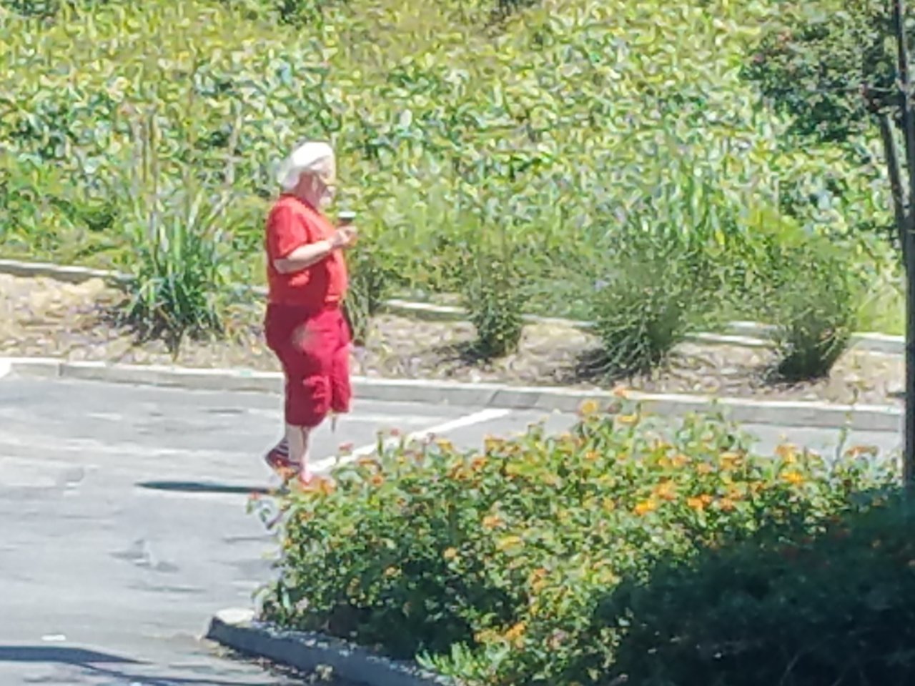 20190712_144650.jpg