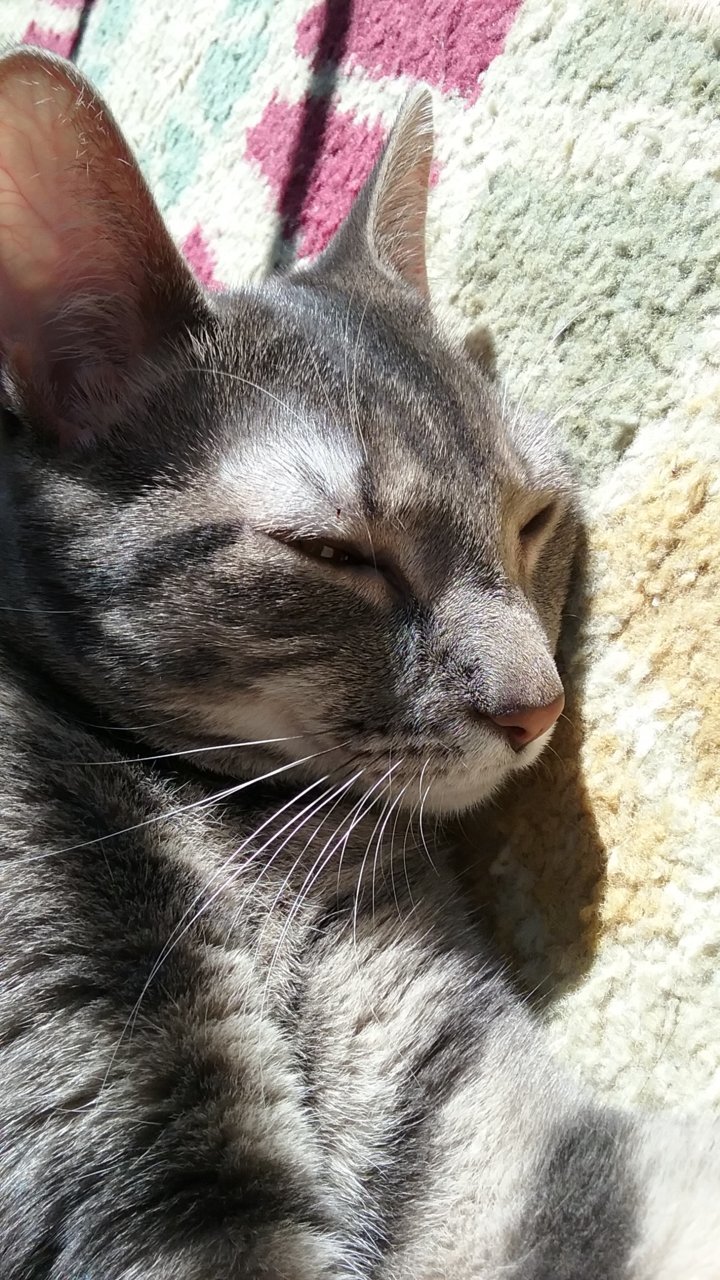 20190713_093803.jpg